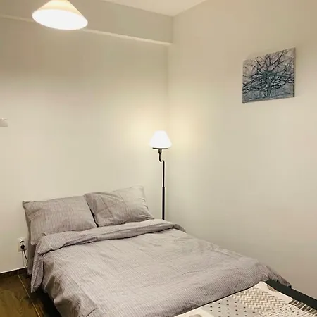 Peace And Quiet Central Studio 아파트 부쿠레슈티